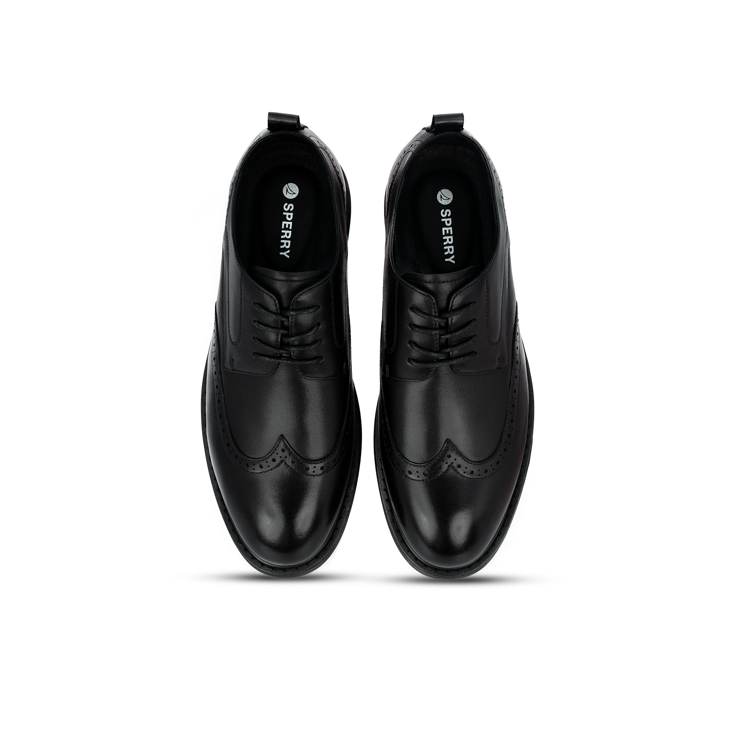 Men's Lewis Brogue Lace Up Casual - Black (26F01021)