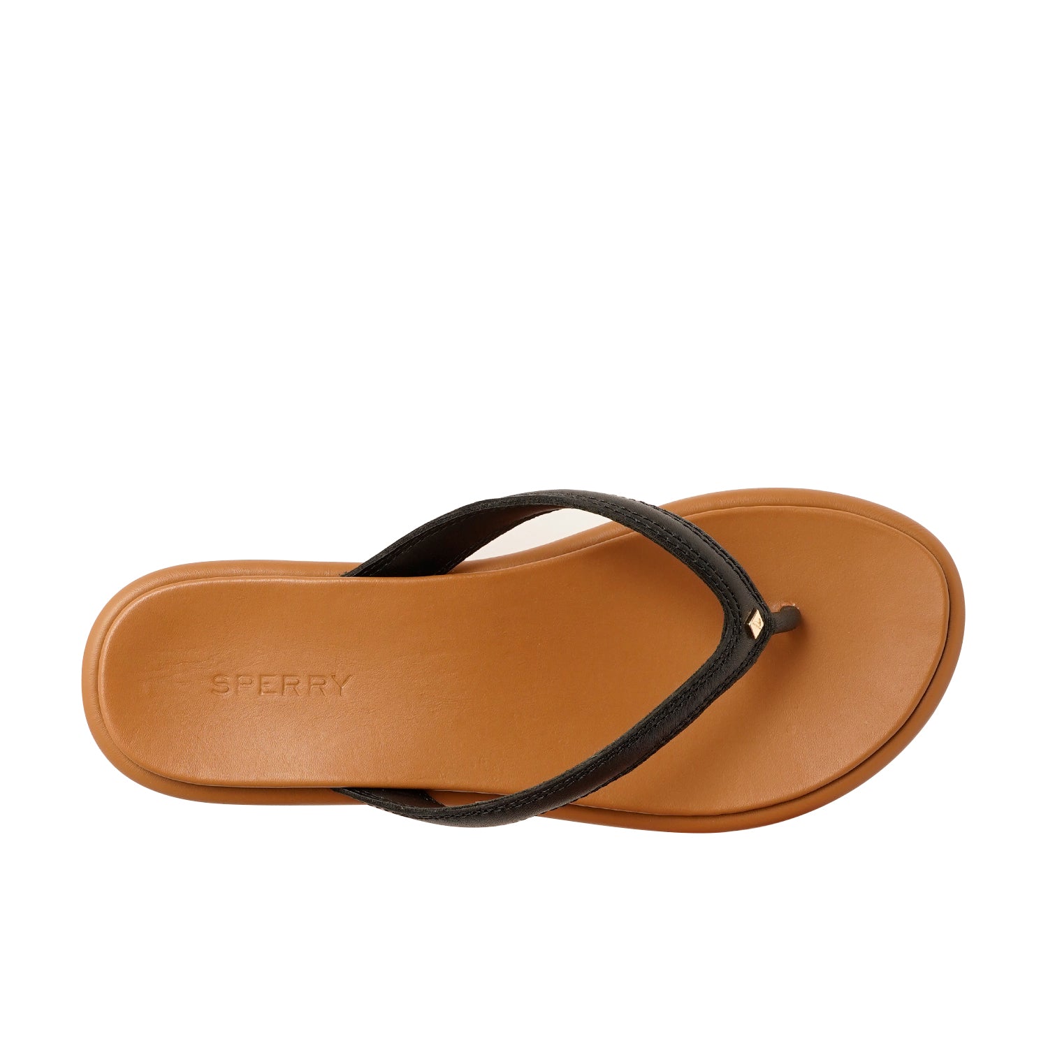 Women's Isla Thong Sandals - Black (10395560)