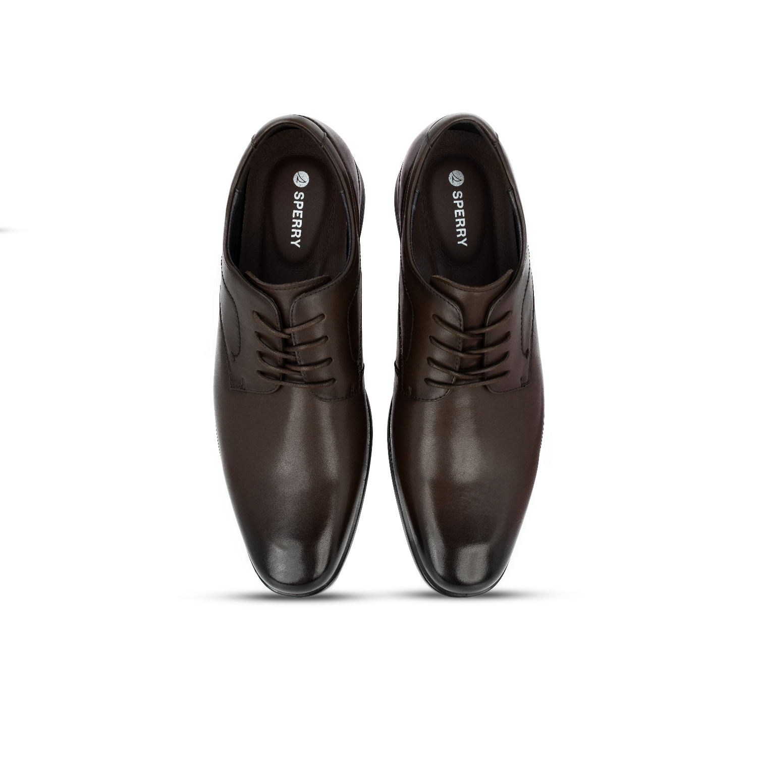 Men's Brandon Classic Derby Lace Up Burnished Casual - Dark Brown (26F00981)