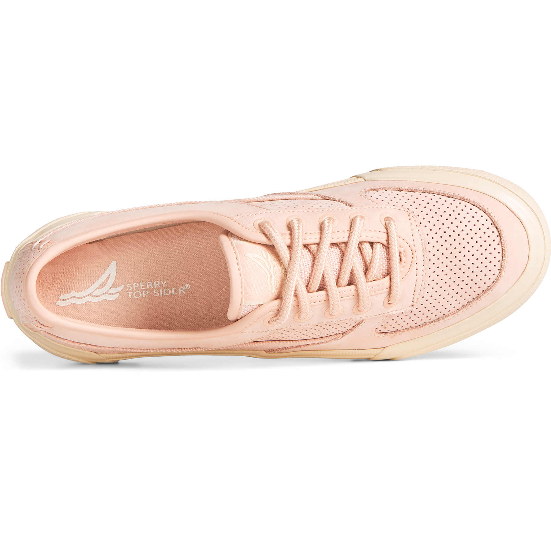 Sperry 2025 rose collection